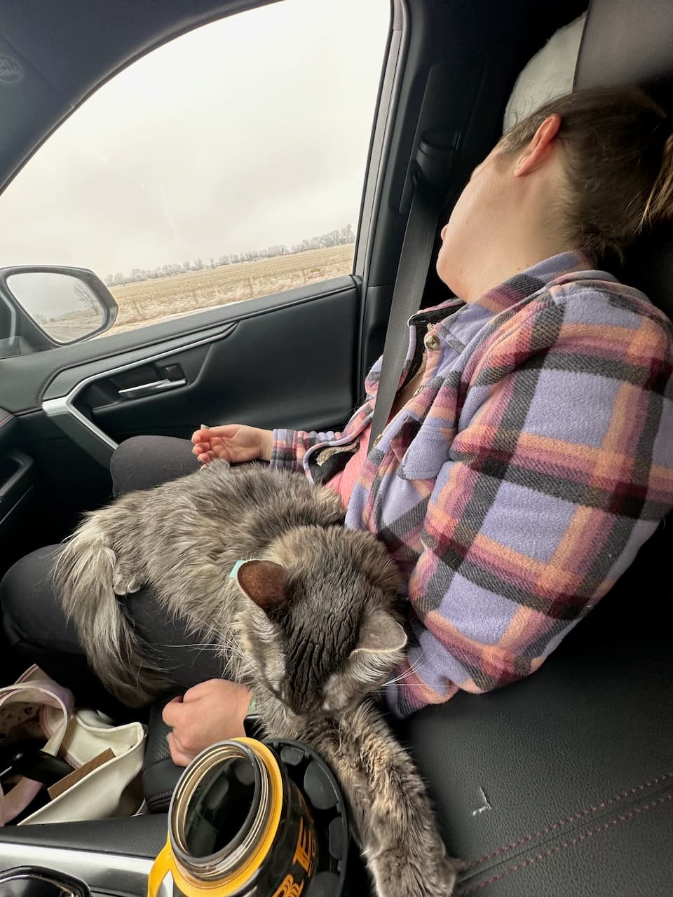 Madison and Scoop napping somewhere in Utah