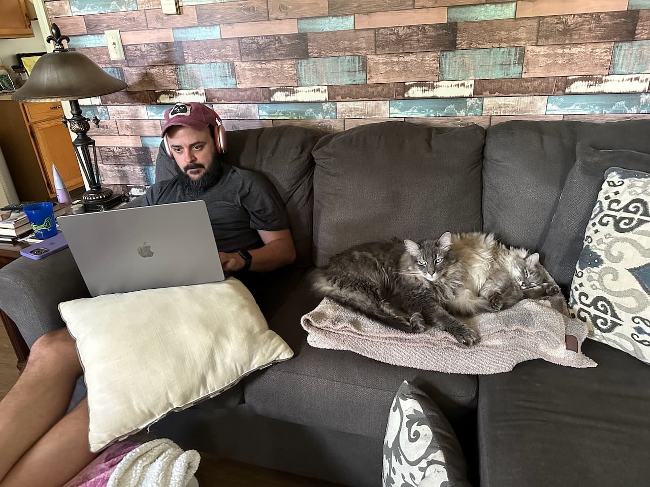 Shawn managing to get some work done while the cats kept watch