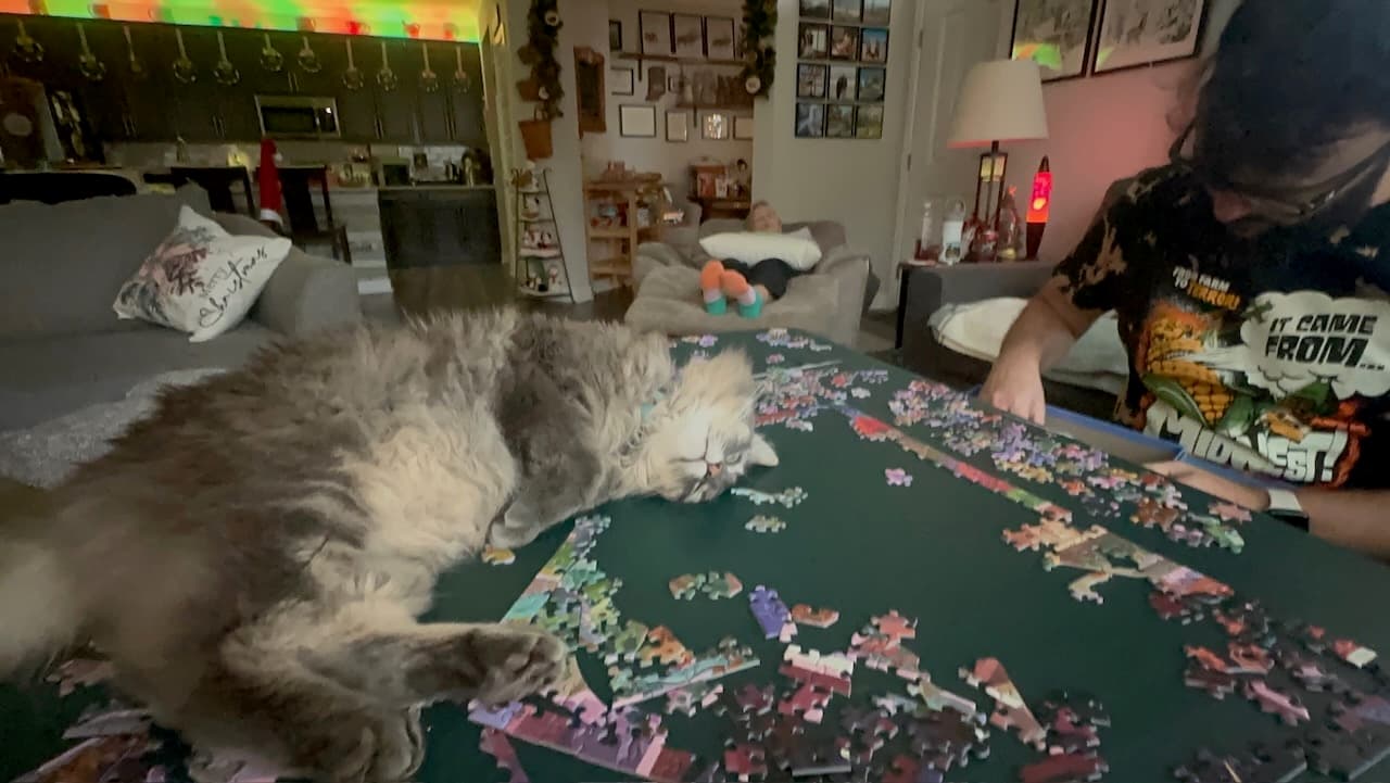 Scoop flopping on a puzzle we were working through during the holidays at Carol's house